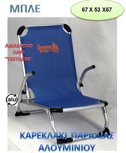 ΚΑΡΕΚΛΑ ΠΑΡΑΛΙΑΣ
