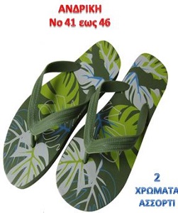 ΣΑΓΙΟΝΑΡΕΣ