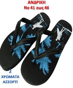 ΣΑΓΙΟΝΑΡΕΣ