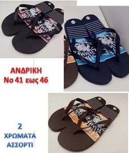 ΣΑΓΙΟΝΑΡΕΣ